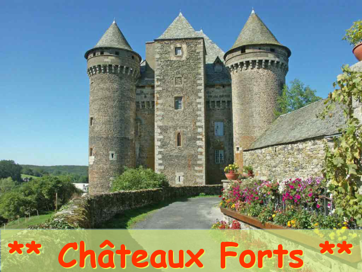 Chateaux Forts of France  1