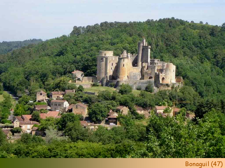 Chateaux Forts of France  10