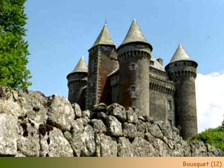 Chateaux Forts of France  11