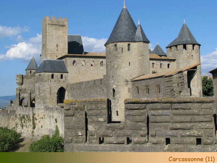 Chateaux Forts of France  14