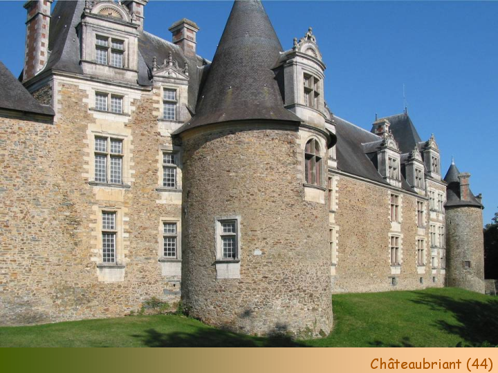 Chateaux Forts of France  16