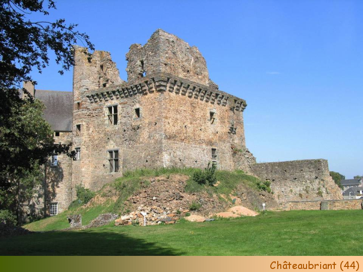 Chateaux Forts of France  17