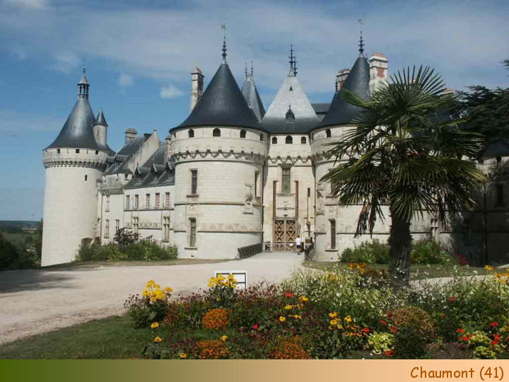 Chateaux Forts of France  19