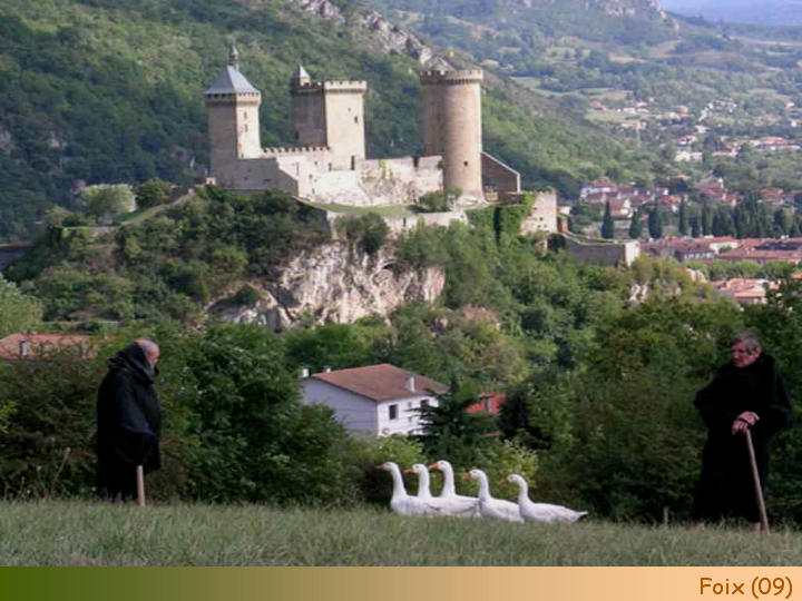 Chateaux Forts of France  26