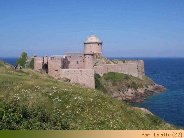 Chateaux Forts of France  29