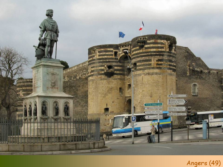 Chateaux Forts of France  3