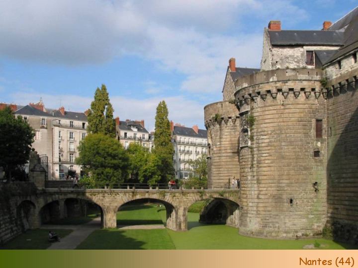 Chateaux Forts of France  39