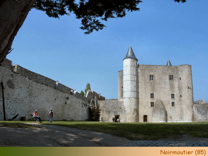 Chateaux Forts of France  43