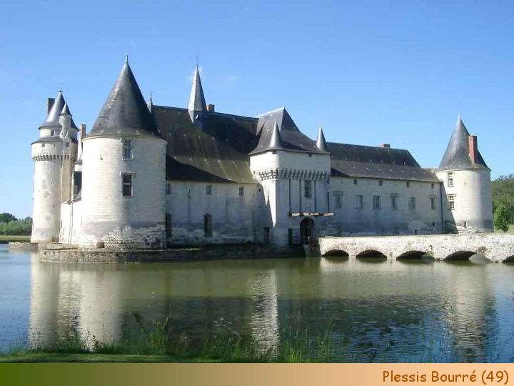 Chateaux Forts of France  44