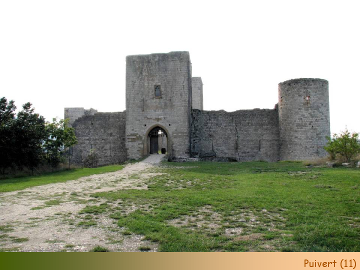 Chateaux Forts of France  46