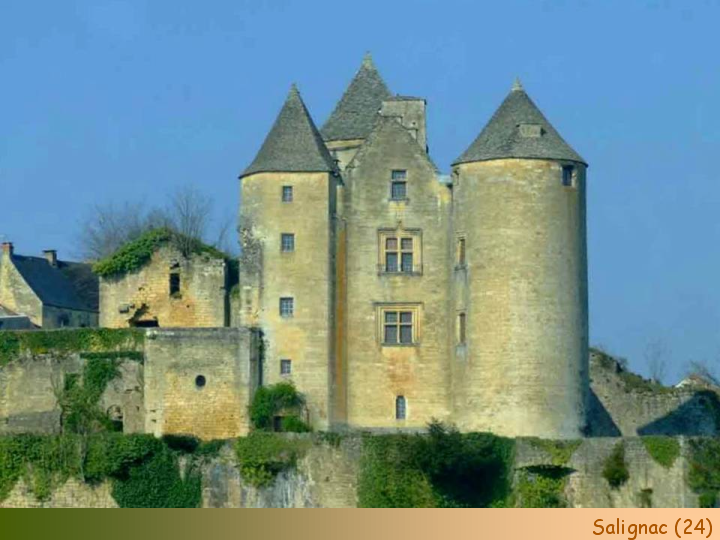 Chateaux Forts of France  47