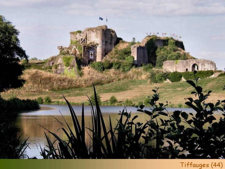 Chateaux Forts of France  50