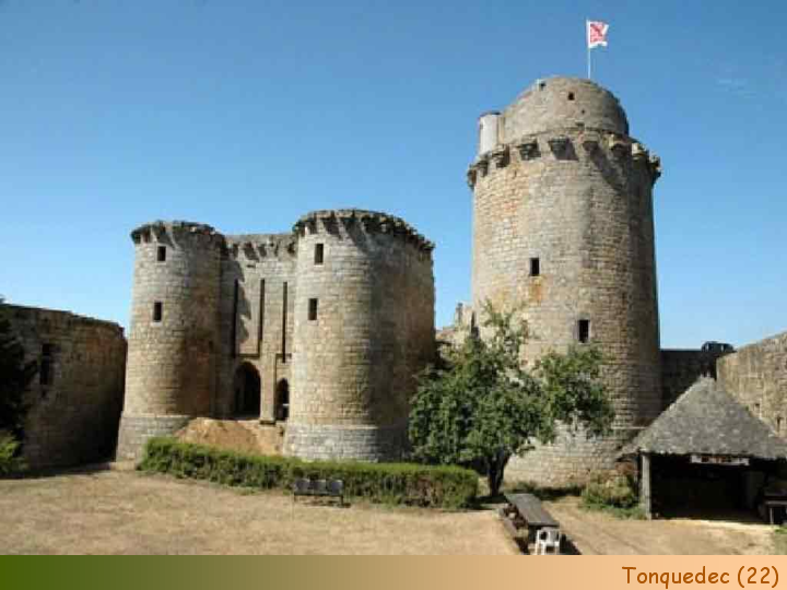 Chateaux Forts of France  52