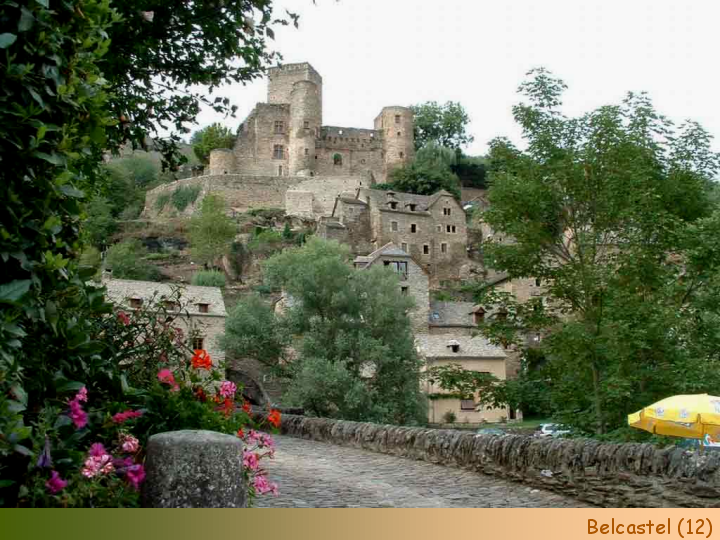 Chateaux Forts of France  6